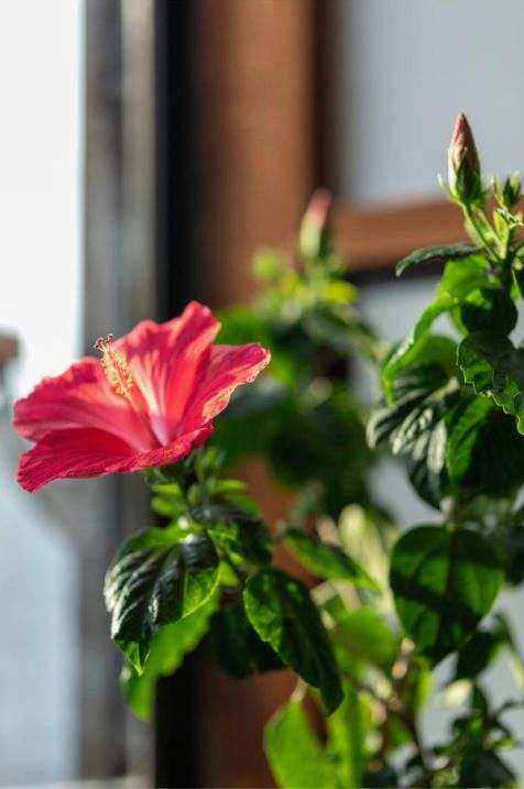 Florist preparing bouquet