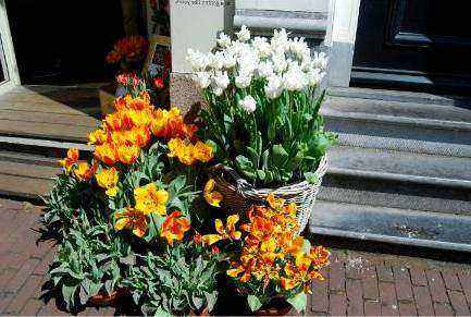Bouquet delivered