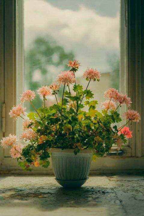 Sunshine bouquet