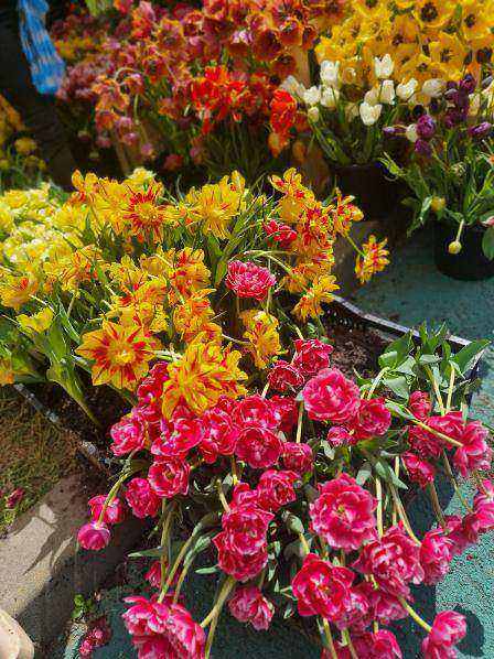 Stage floral display
