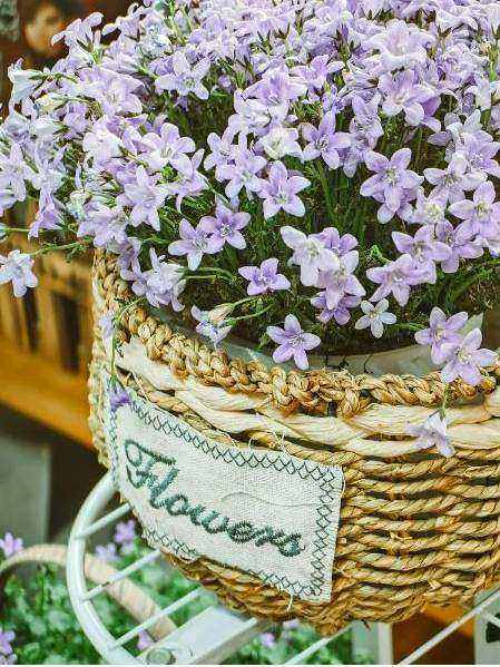 Eco bouquet hero