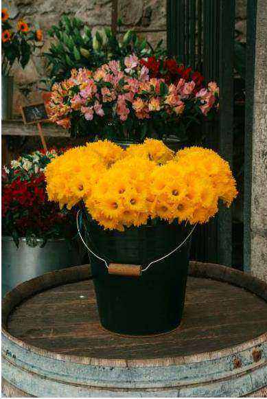 Seasonal bouquet 3